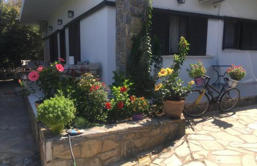 Eratous Seaside House - Foto 20