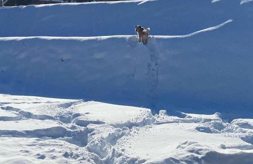 Calm House Krzynia - dom nad jeziorem do wynajęcia - Foto 55