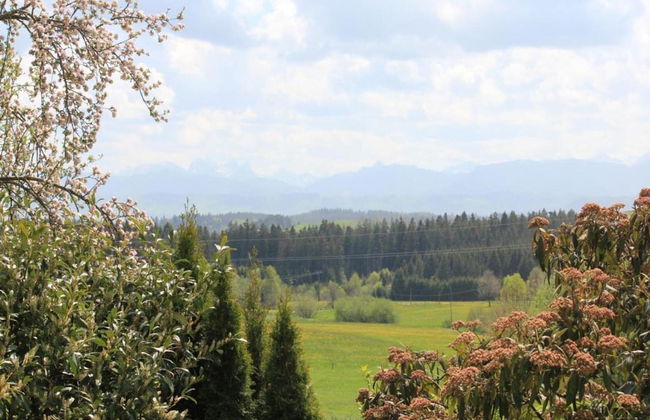 Spacious Villa near Forest in Buchet - Photo 37