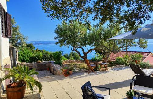 Weekend house Olive garden - Photo 15