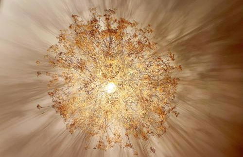 Altstadt Apartments - Photo 26