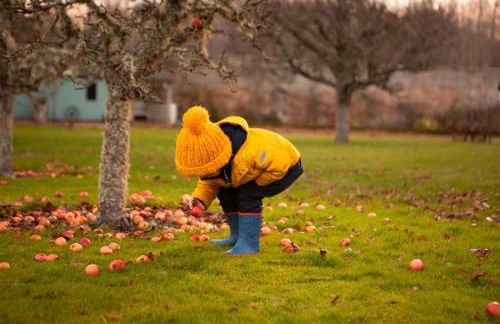 Balnagown Estates Gardener's Cottage - Foto 29