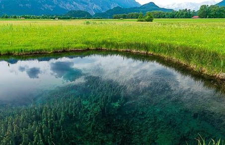Ferienwohnung im Blockhausstil - Foto 12