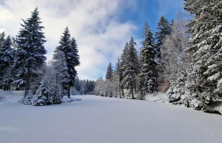 Ferienhaus am Erzgebirgskamm - Foto 29