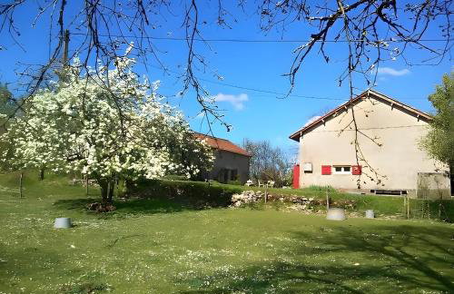 Gite Lou Bas - La Framie - Foto 27