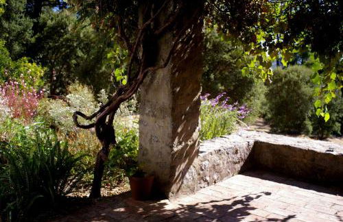 Quinta Da Relva - A traditional farmhouse in a stunning location - Foto 59