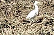 Molino della Tuoma - Foto 63