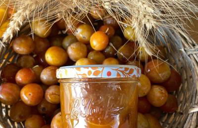 COSY APPART NUMERO 2 - Photo 16