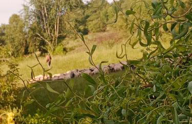 Agroturystyka pod Baranią Gorą - Foto 43