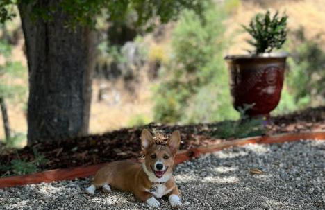 Paso Robles Wine Country Ranch House & Firepit - Foto 34