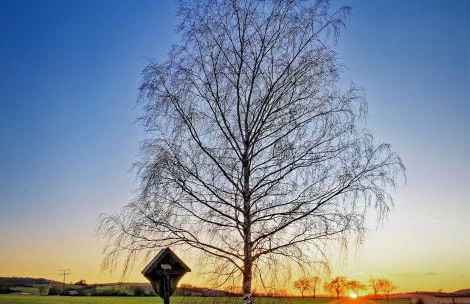 Ferienwohnung Schlossblick Schillingsfürst - Foto 24
