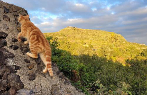 Finca El Lance - Foto 63