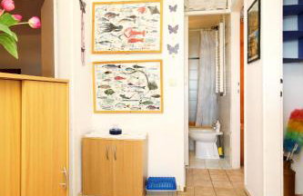 Apartments by the sea Brgujac, Vis - 8899 - Foto 20