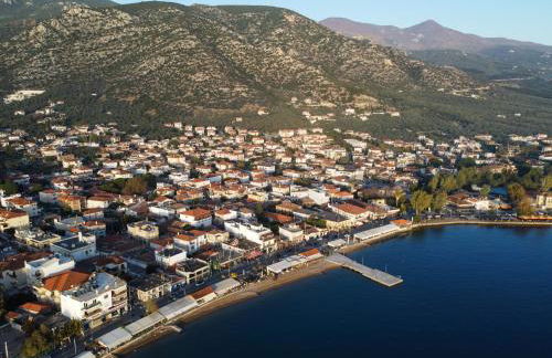 The backyard- Κατοικία στην Αγριά, Βόλου - Foto 45