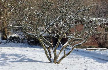 Ferienwohnung Haus Waldblick - Photo 19