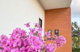 Flat 01 · Flats Japaratinga1- 200m da praia cozinha completa - Foto 7