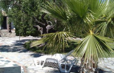 El Cañuelo - Foto 30