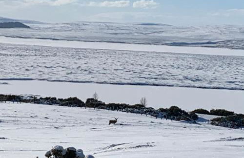 Traditional 2 bed croft - Foto 36