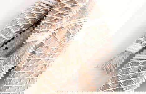 Enjoy Sunny Daze Private Pool Walk to Beach - Foto 25