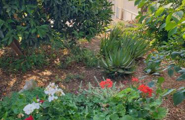 Apartments in Pirovac 34905 - Photo 14