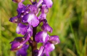 La petite maison dans le Quercy - Foto 21