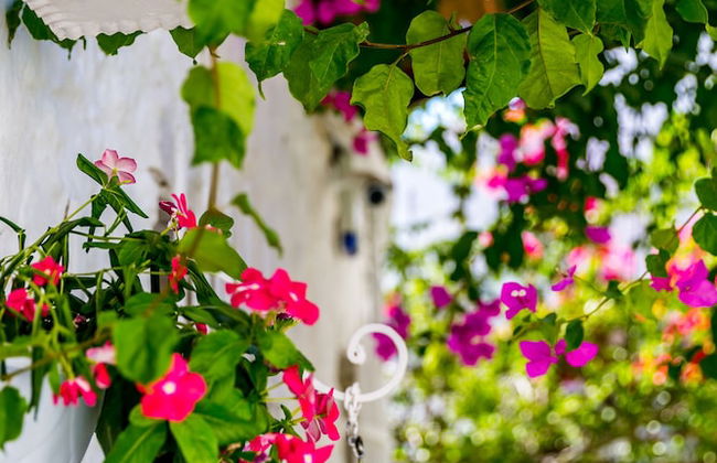 8 Oda Boutique Homes - Photo 70