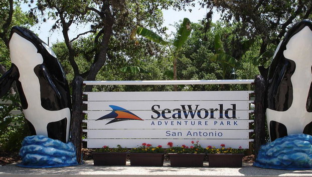 SEAWORLD SAN ANTONIO - Foto 4