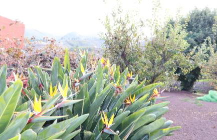 Casa rural Finca Don Amado, San Mateo - Foto 43