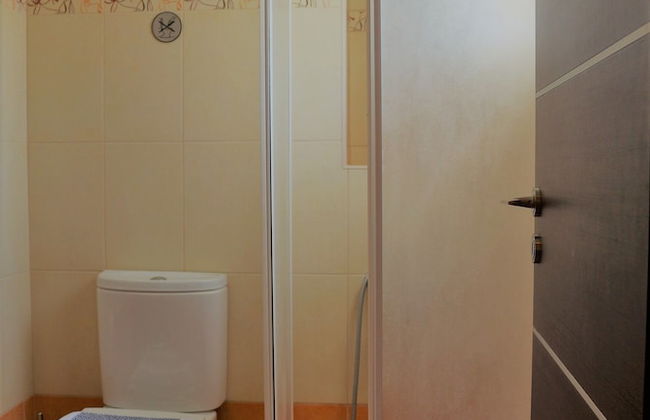 Helianthus - Foto 18