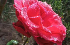 Recanto córrego frio - Foto 10