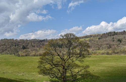 Crogen Gatehouse Lodge - Foto 18