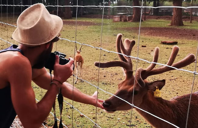Complejo Río los Patos - Cabañas y Hostel - Photo 46