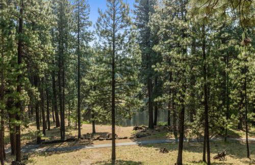 Shields Shalet - Foto 61