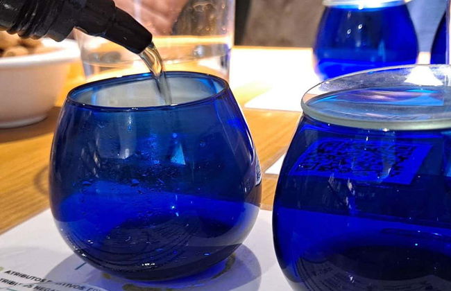 Visite d'une oliveraie et d'un moulin à huile + Dégustation d'huile d'olive et de légumes marinés - Photo 1