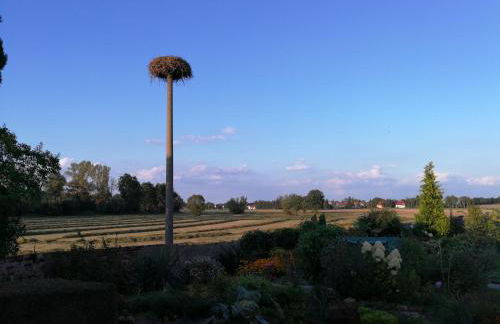 Doberschützer Hof - Foto 40