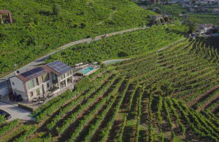 Agriturismo due Carpini - Foto 29