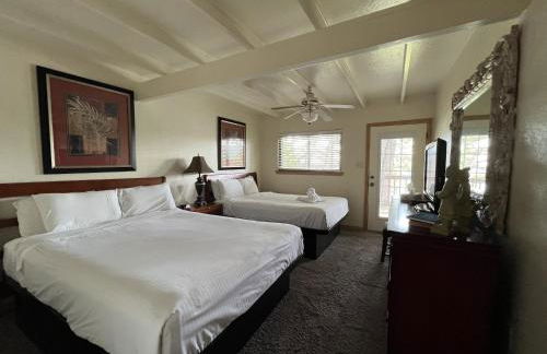 Mountain Harbor Lodge cottage on Lake Ouachita - Foto 4