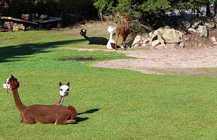 Bergpanorama Ruhla - Foto 50