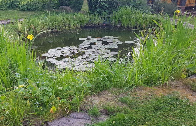 Holiday Home in the Large Garden - Foto 30