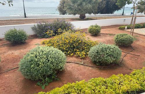 Makrigialos Long Beach Villa 5 - Foto 37