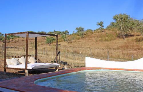 Monte Pinheiro - Foto 31