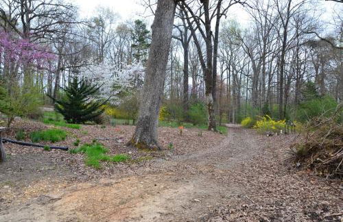 Cheerful 3 bedroom home with a sauna and summer pool - Foto 22