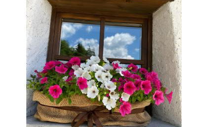 Chalet di Mont - Foto 10