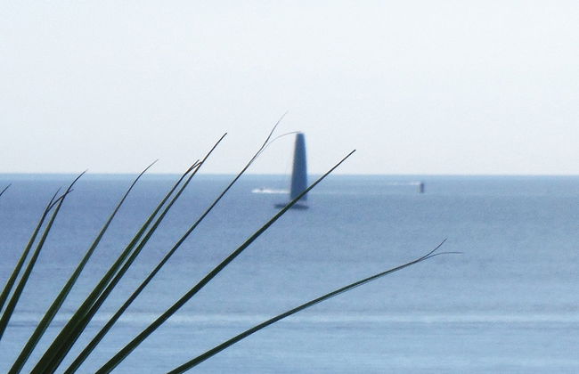 Lou Trelus - Foto 47