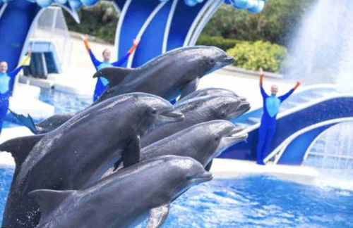 Cocoa, Beach house - Foto 38