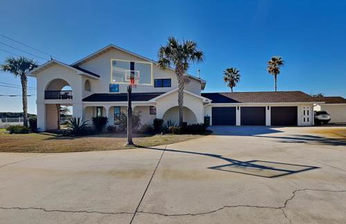 Lion On The Beach - Photo 16