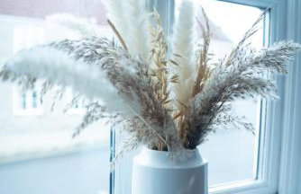 Avalon Sunrise our enchanting Glastonbury cottage - Foto 26