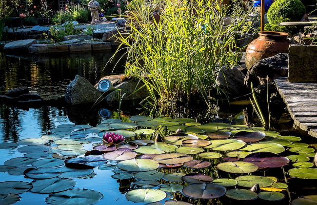 Glückliche Kuh-Villa - Foto 80