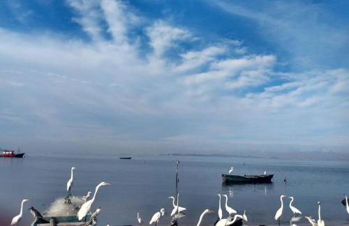 Madame Casa Amarela Maua Mage - Foto 27