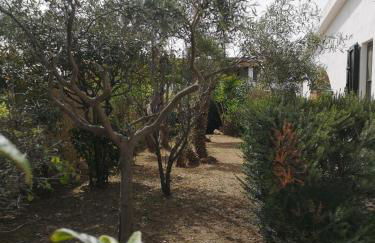 Villa Lory - Foto 17